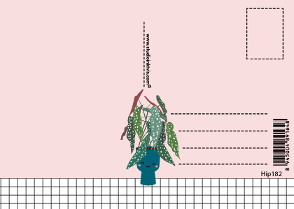 Postkaart Begonia stippenplant