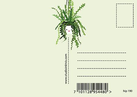 Postkaart Planten Welcome to the jungle
