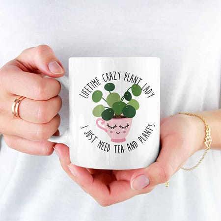 Mok pilea
