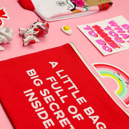 ETUI a LITTLE BAG FULL OF BIG SECRETS INSIDE