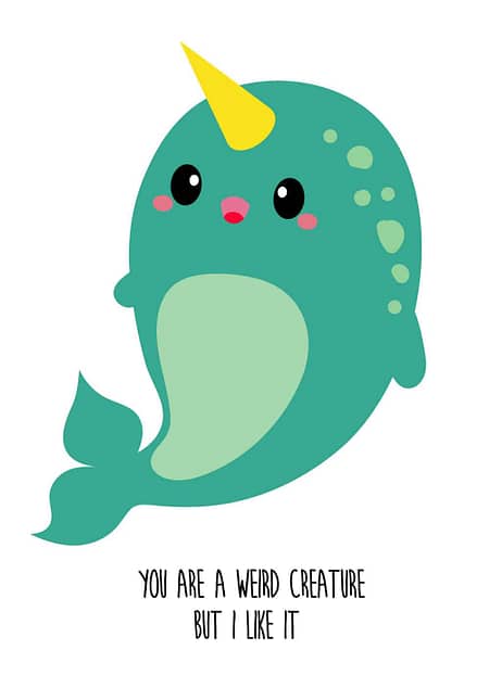 Postkaart You are a weird creature but I like it Narwal