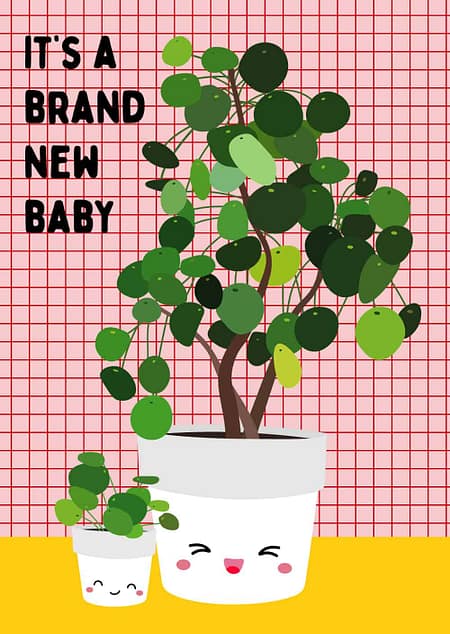 WENSKAART NEW BABY PILEA